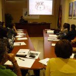 curs societat i cultures