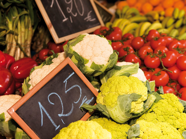 El Consell Comarcal organitza un curs sobre la producció agrícola ecològica