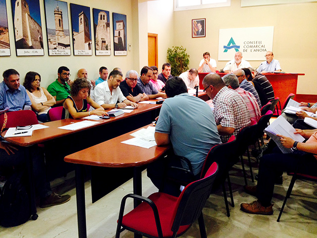 El Ple del Consell Comarcal de l’Anoia aprova el nou cartipàs