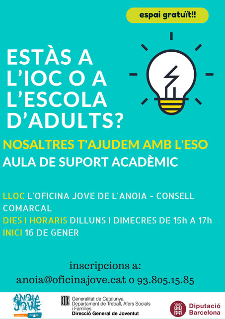 El Consell ofereix suport acadèmic als alumnes que estudien l’ESO a través de l’IOC i escola d’adults