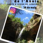 cartell-instagramers